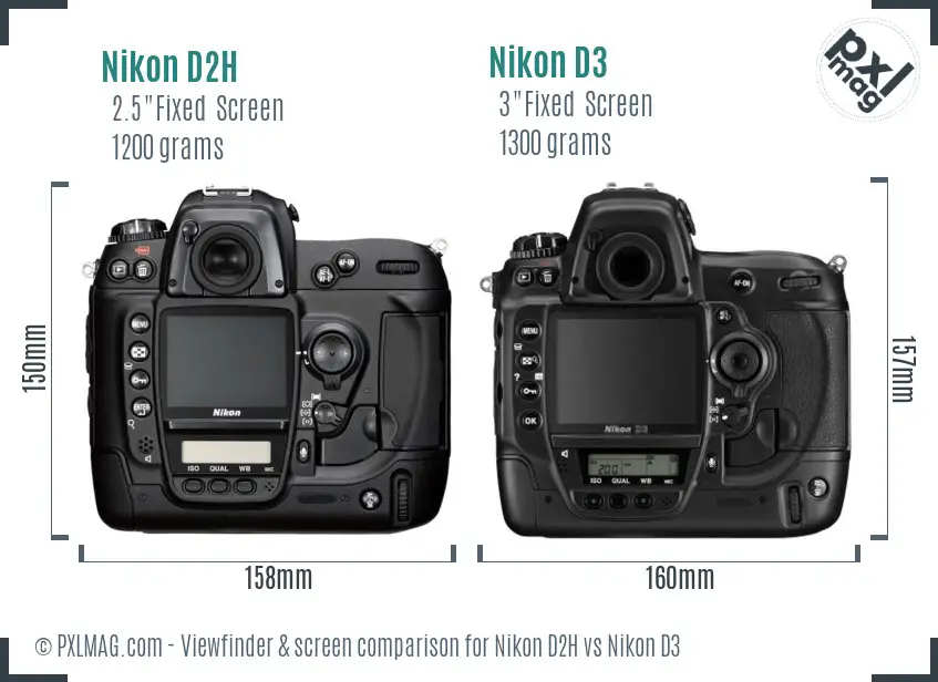 Nikon D2H vs Nikon D3 Screen and Viewfinder comparison