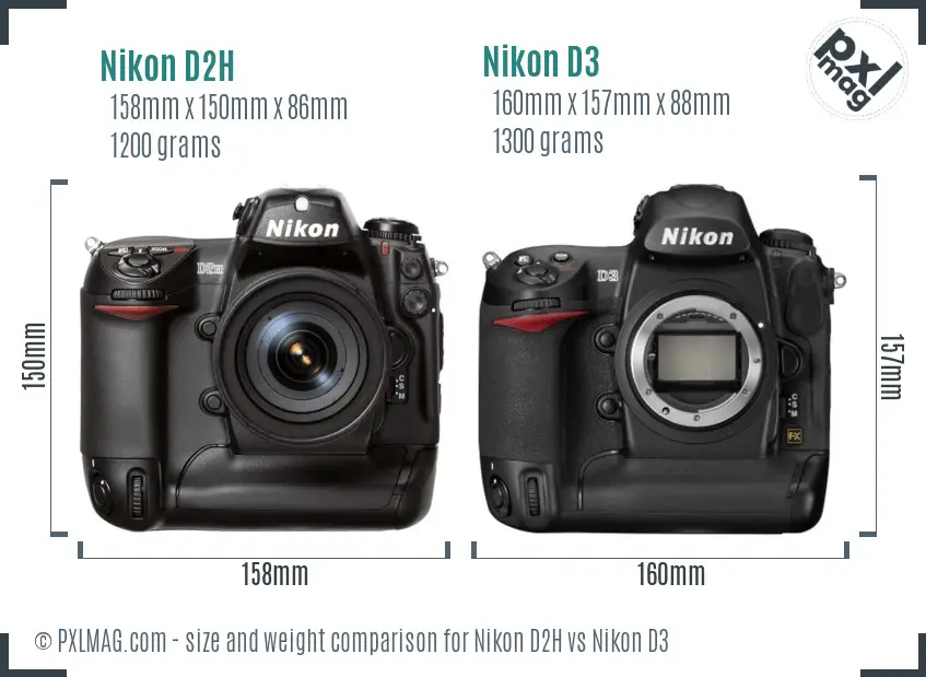 Nikon D2H vs Nikon D3 size comparison