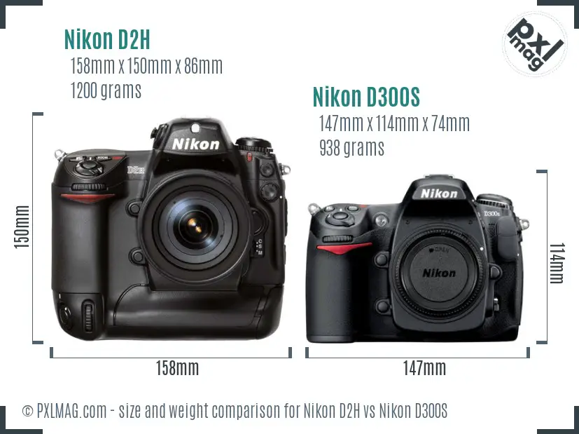 Nikon D2H vs Nikon D300S size comparison
