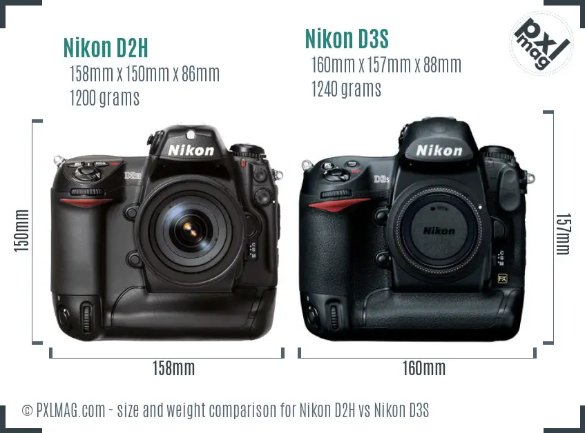 Nikon D2H vs Nikon D3S size comparison