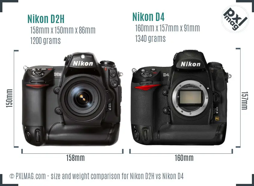 Nikon D2H vs Nikon D4 size comparison