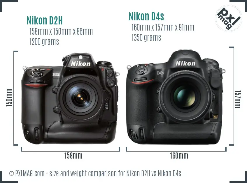 Nikon D2H vs Nikon D4s size comparison