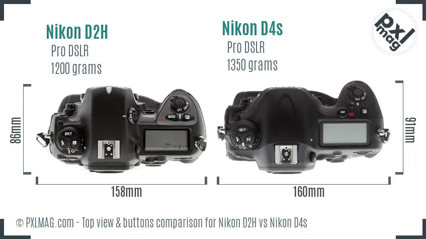 Nikon D2H vs Nikon D4s top view buttons comparison
