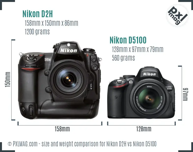 Nikon D2H vs Nikon D5100 size comparison