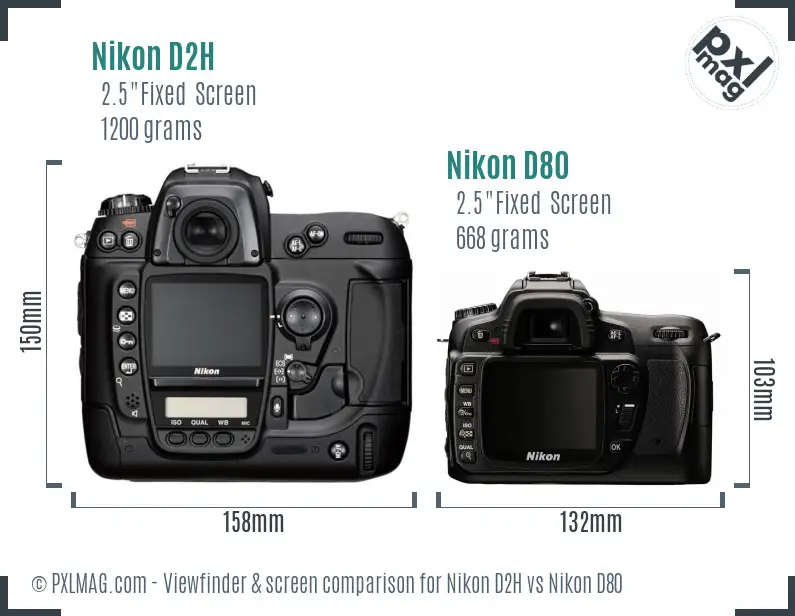 Nikon D2H vs Nikon D80 Screen and Viewfinder comparison