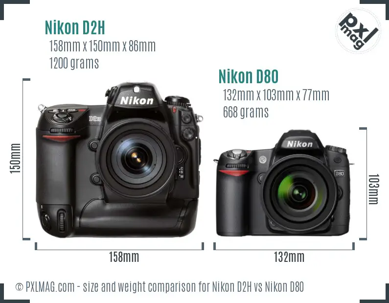 Nikon D2H vs Nikon D80 size comparison