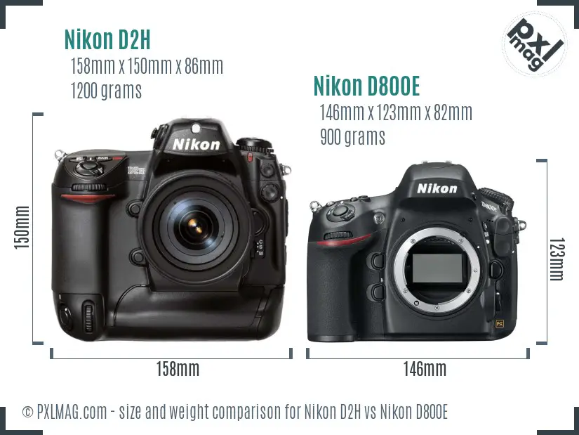 Nikon D2H vs Nikon D800E size comparison