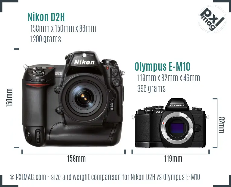 Nikon D2H vs Olympus E-M10 size comparison