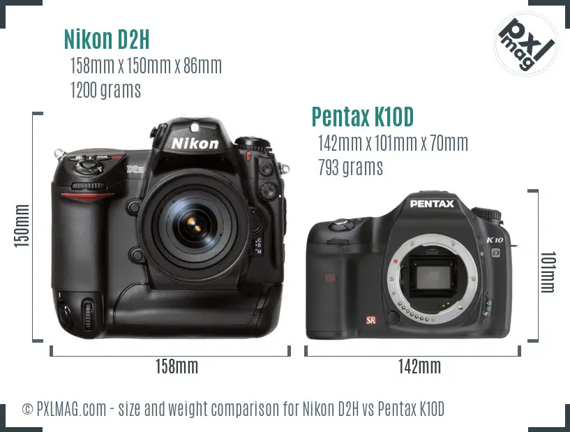 Nikon D2H vs Pentax K10D size comparison