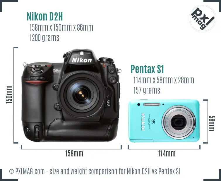 Nikon D2H vs Pentax S1 size comparison