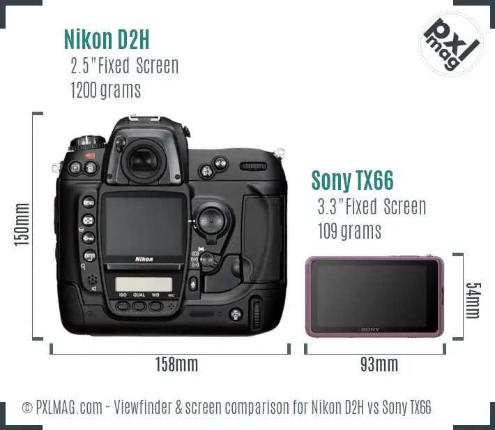 Nikon D2H vs Sony TX66 Screen and Viewfinder comparison