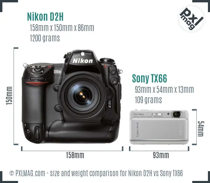 Nikon D2H vs Sony TX66 size comparison