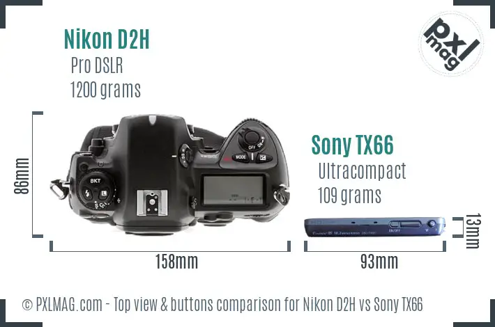 Nikon D2H vs Sony TX66 top view buttons comparison