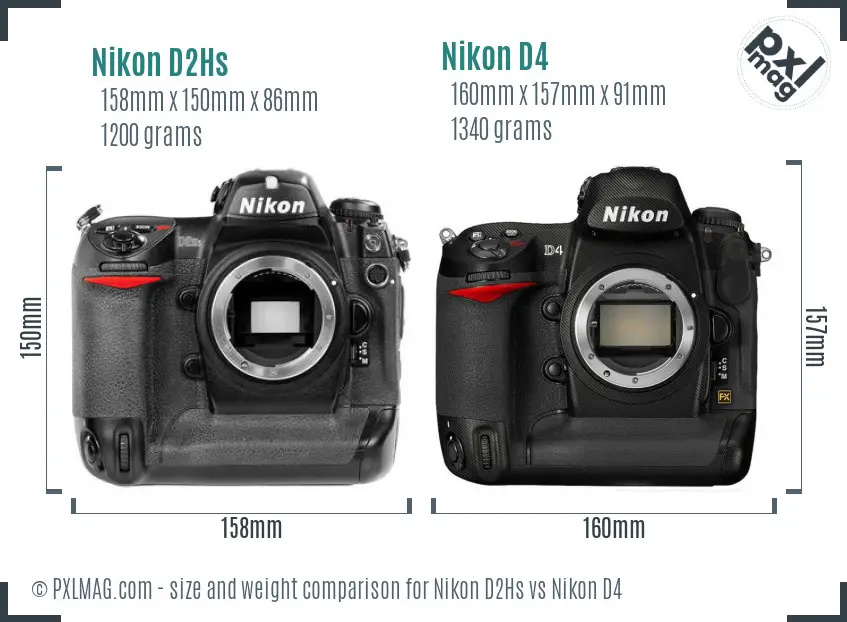 Nikon D2Hs vs Nikon D4 size comparison