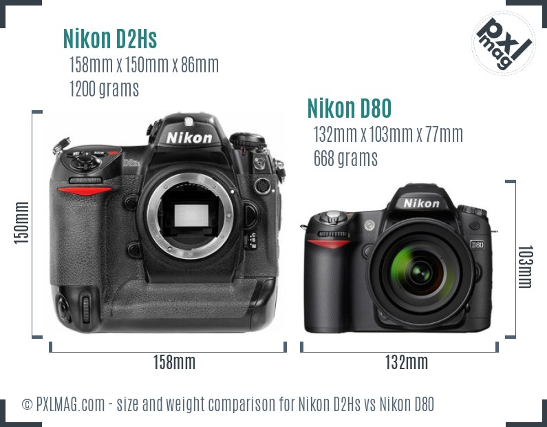 Nikon D2Hs vs Nikon D80 size comparison Nikon D2Hs vs Nikon D80 size comparison