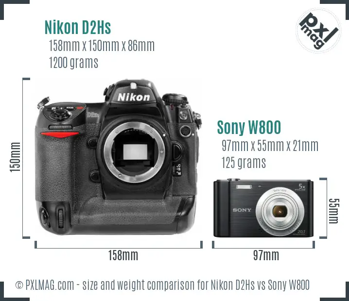 Nikon D2Hs vs Sony W800 size comparison