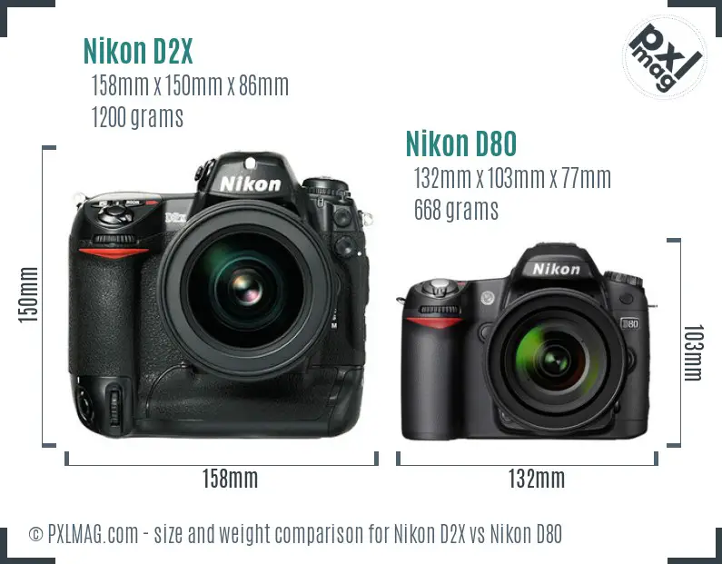 Nikon D2X vs Nikon D80 size comparison