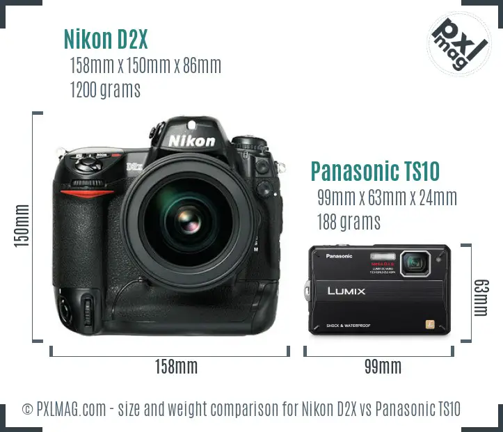 Nikon D2X vs Panasonic TS10 size comparison