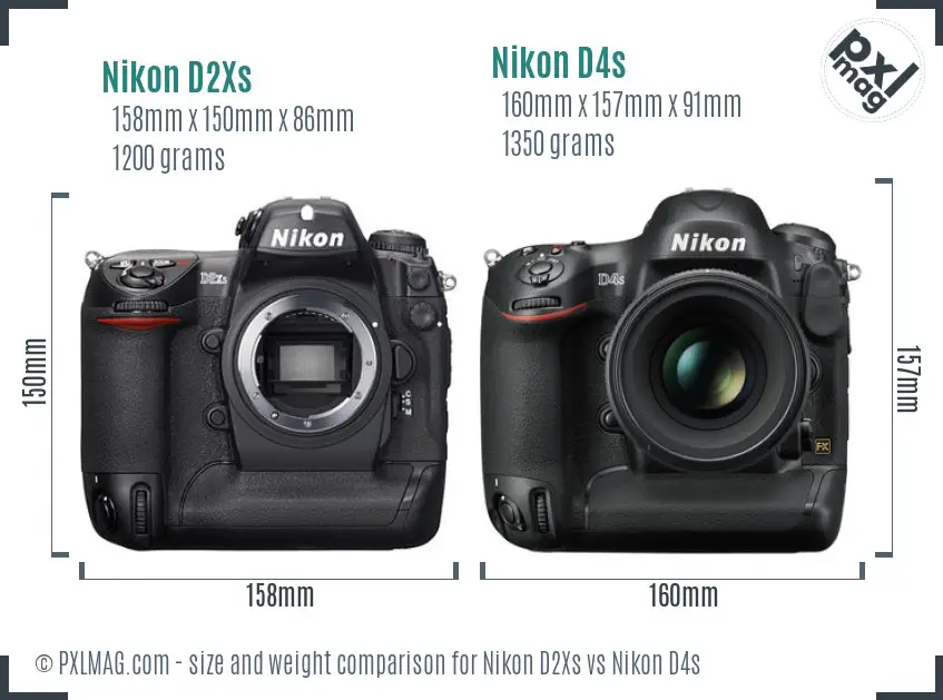 Nikon D2Xs vs Nikon D4s size comparison