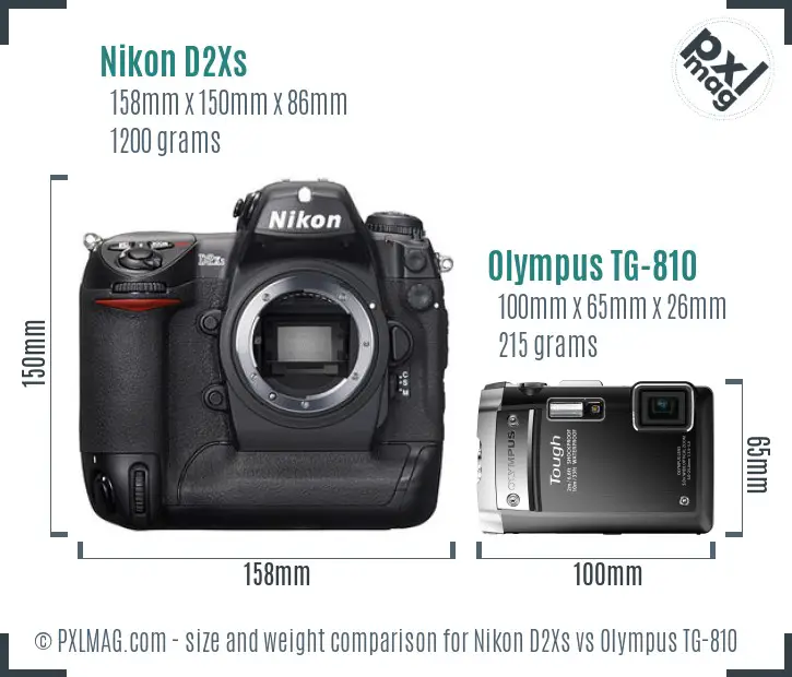Nikon D2Xs vs Olympus TG-810 size comparison