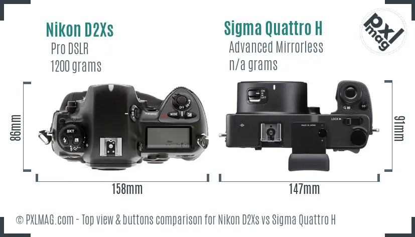 Nikon D2Xs vs Sigma Quattro H top view buttons comparison
