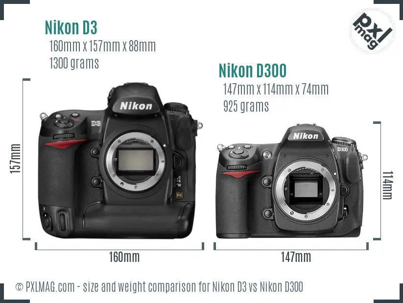 Nikon D3 vs Nikon D300 size comparison Nikon D3 vs Nikon D300 size comparison