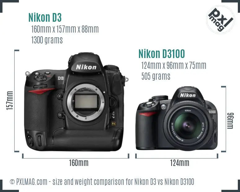 Nikon D3 vs Nikon D3100 size comparison Nikon D3 vs Nikon D3100 size comparison