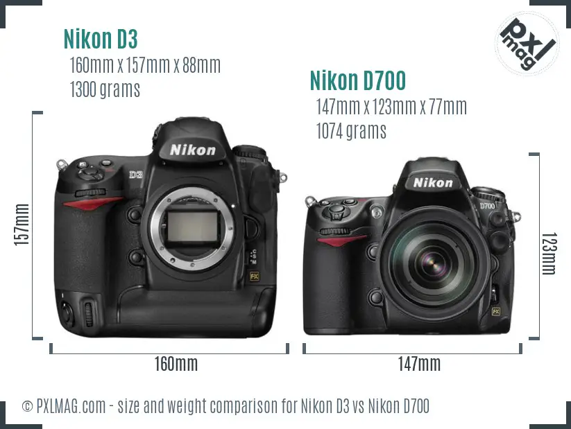 Nikon D3 vs Nikon D700 size comparison Nikon D3 vs Nikon D700 size comparison
