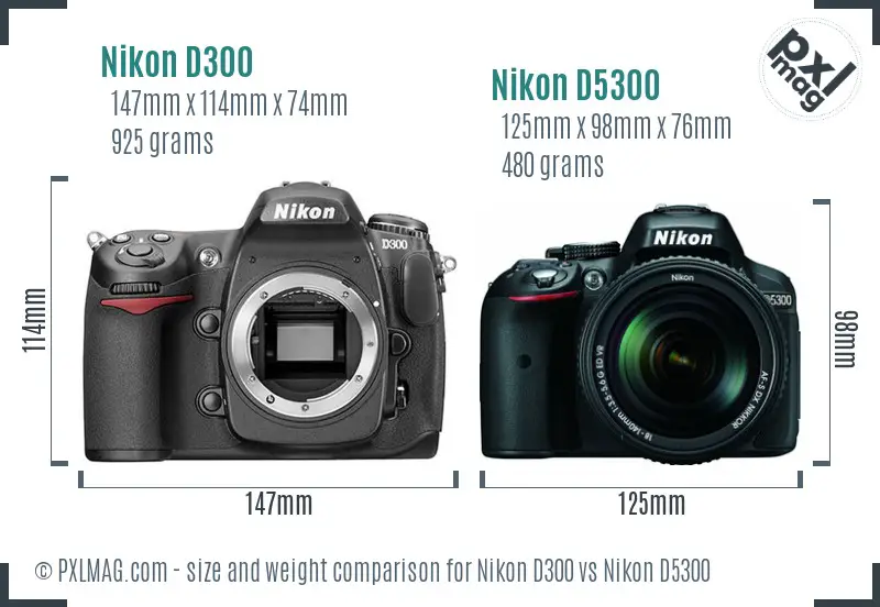 Nikon D300 vs Nikon D5300 size comparison