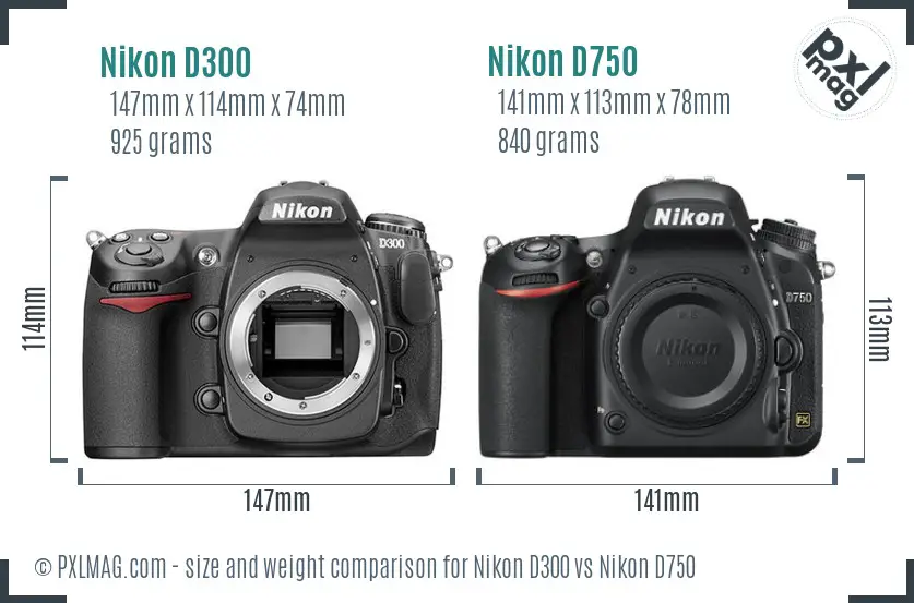 Nikon D300 vs Nikon D750 size comparison Nikon D300 vs Nikon D750 size comparison