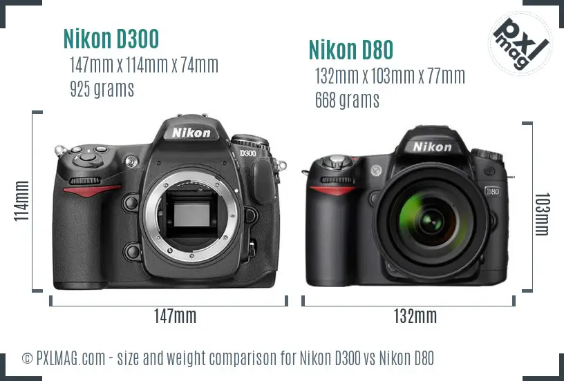 Nikon D300 vs Nikon D80 size comparison