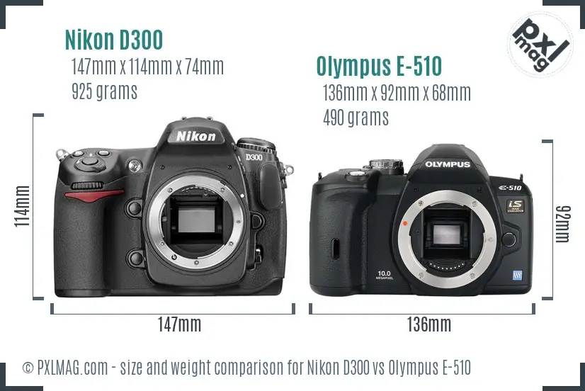 Nikon D300 vs Olympus E-510 size comparison