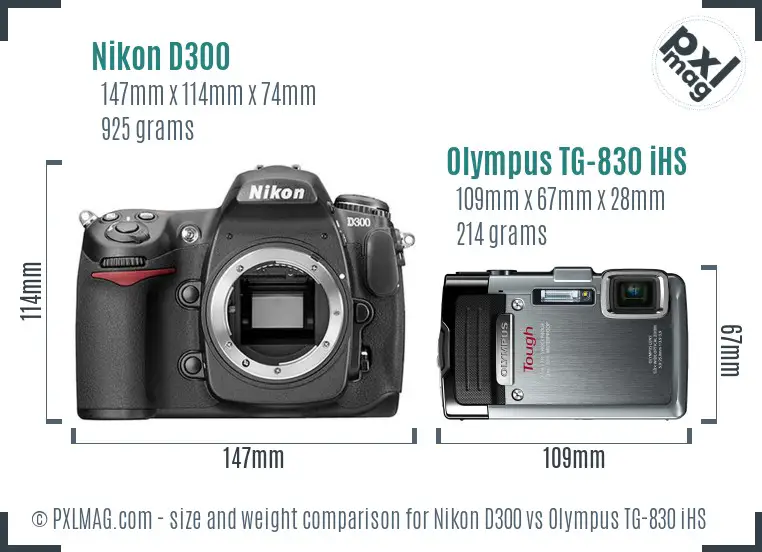 Nikon D300 vs Olympus TG-830 iHS size comparison