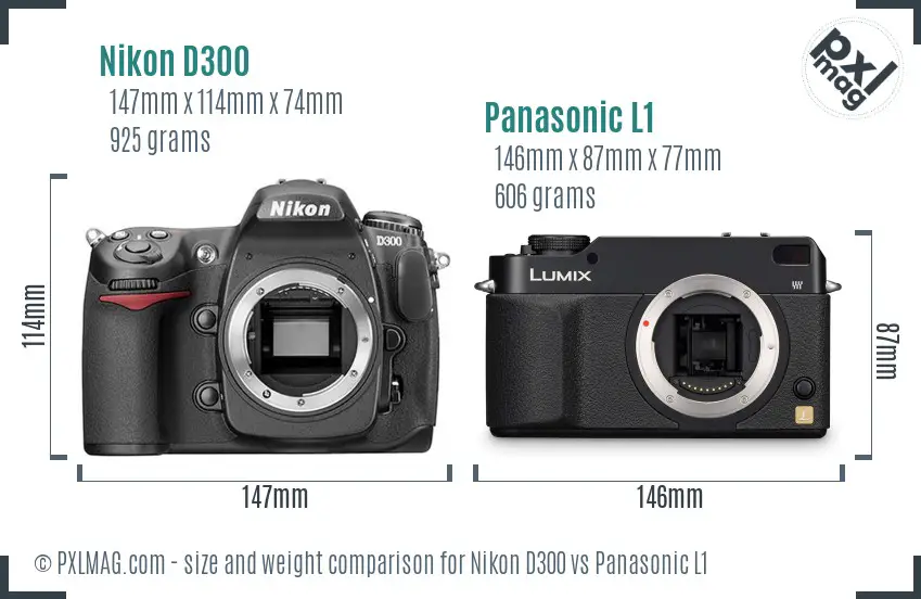 Nikon D300 vs Panasonic L1 size comparison