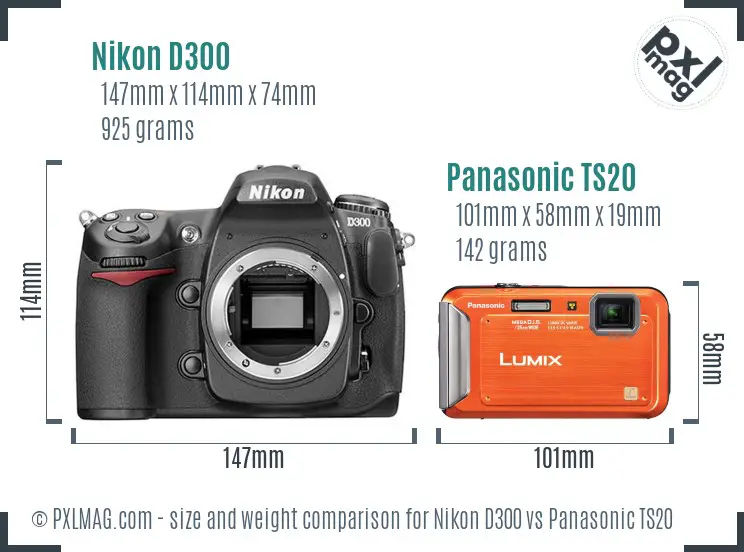 Nikon D300 vs Panasonic TS20 size comparison