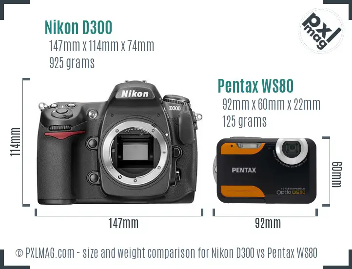 Nikon D300 vs Pentax WS80 size comparison