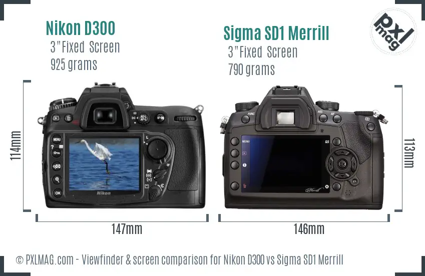 Nikon D300 vs Sigma SD1 Merrill Screen and Viewfinder comparison Nikon D300 vs Sigma SD1 Merrill Screen and Viewfinder comparison