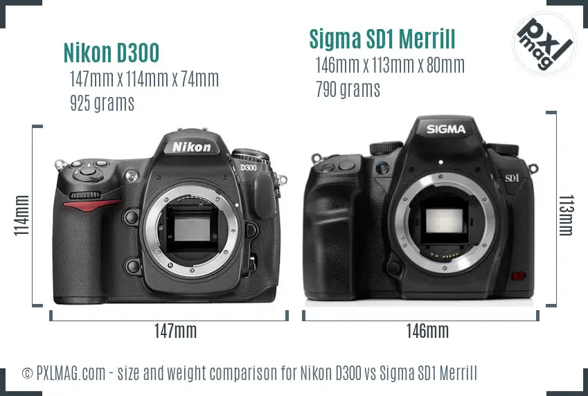 Nikon D300 vs Sigma SD1 Merrill size comparison Nikon D300 vs Sigma SD1 Merrill size comparison