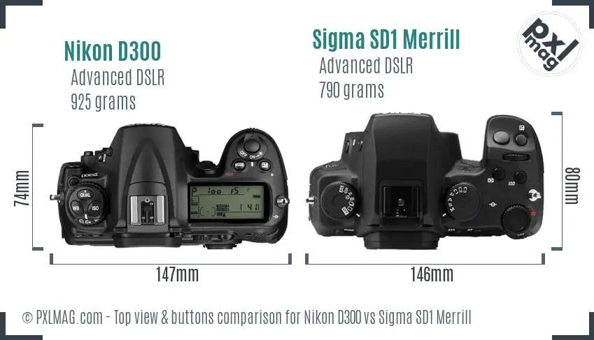 Nikon D300 vs Sigma SD1 Merrill top view buttons comparison Nikon D300 vs Sigma SD1 Merrill top view buttons comparison