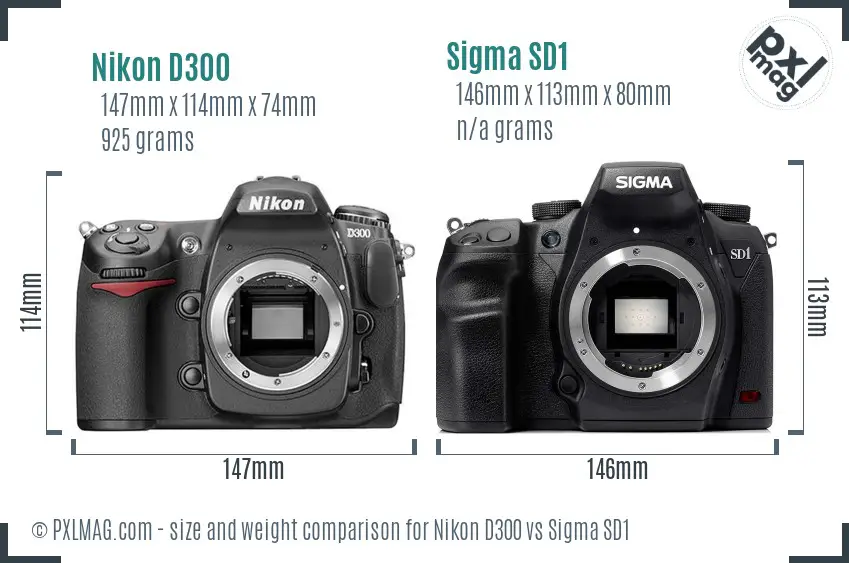 Nikon D300 vs Sigma SD1 size comparison