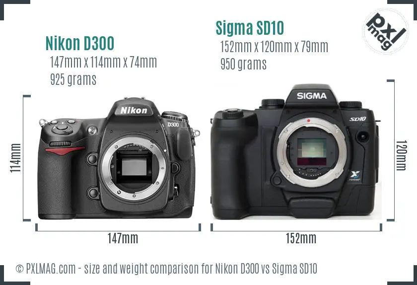 Nikon D300 vs Sigma SD10 size comparison