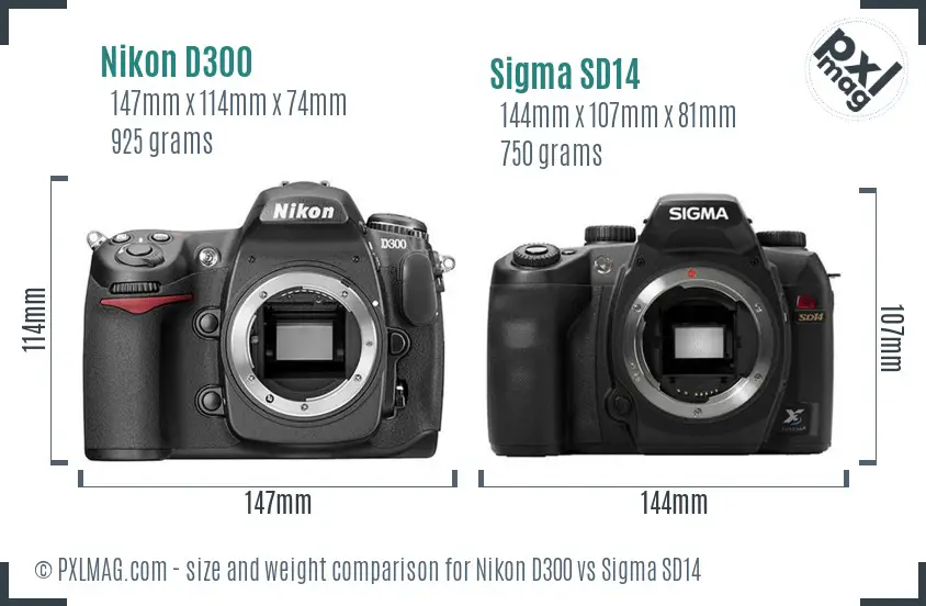 Nikon D300 vs Sigma SD14 size comparison