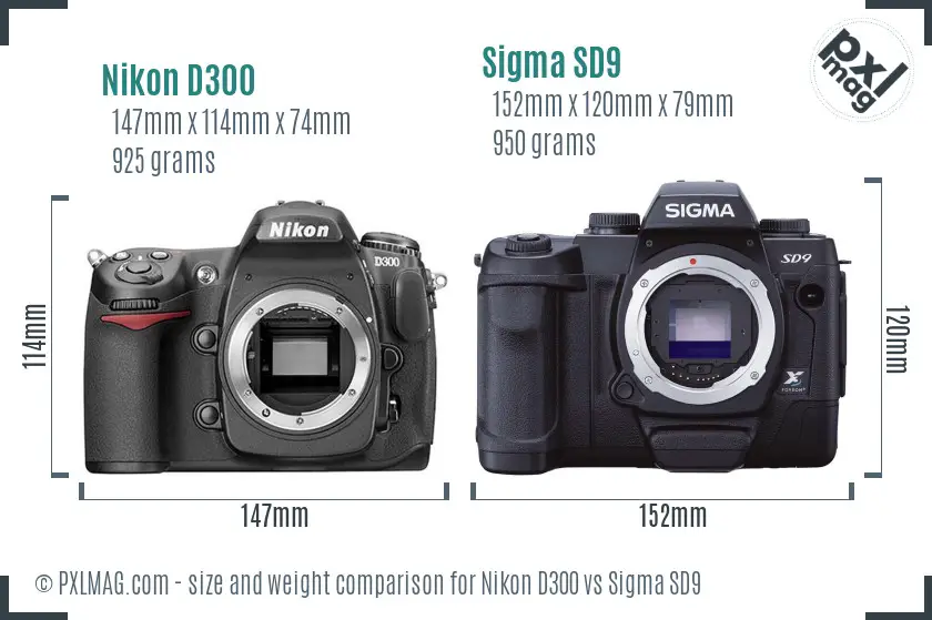 Nikon D300 vs Sigma SD9 size comparison