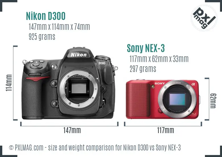 Nikon D300 vs Sony NEX-3 size comparison