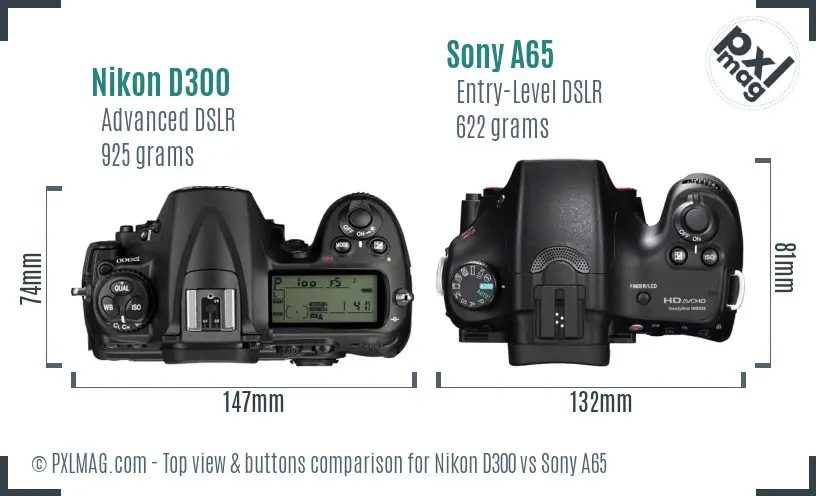 Nikon D300 vs Sony A65 top view buttons comparison
