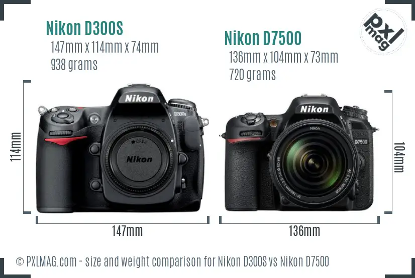 Nikon D300S vs Nikon D7500 size comparison