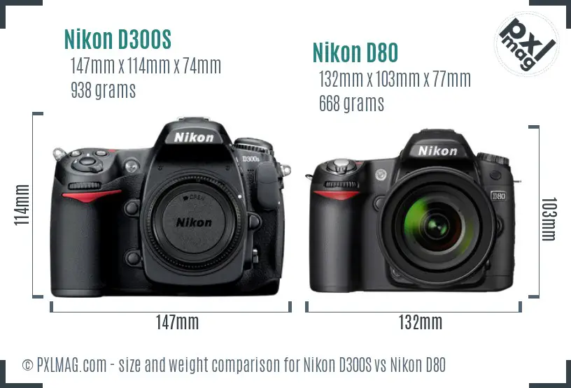 Nikon D300S vs Nikon D80 size comparison