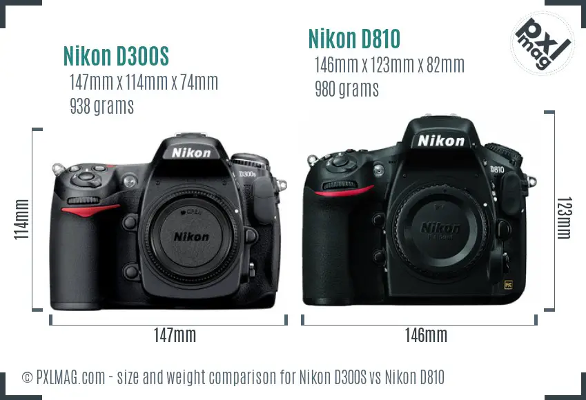 Nikon D300S vs Nikon D810 size comparison