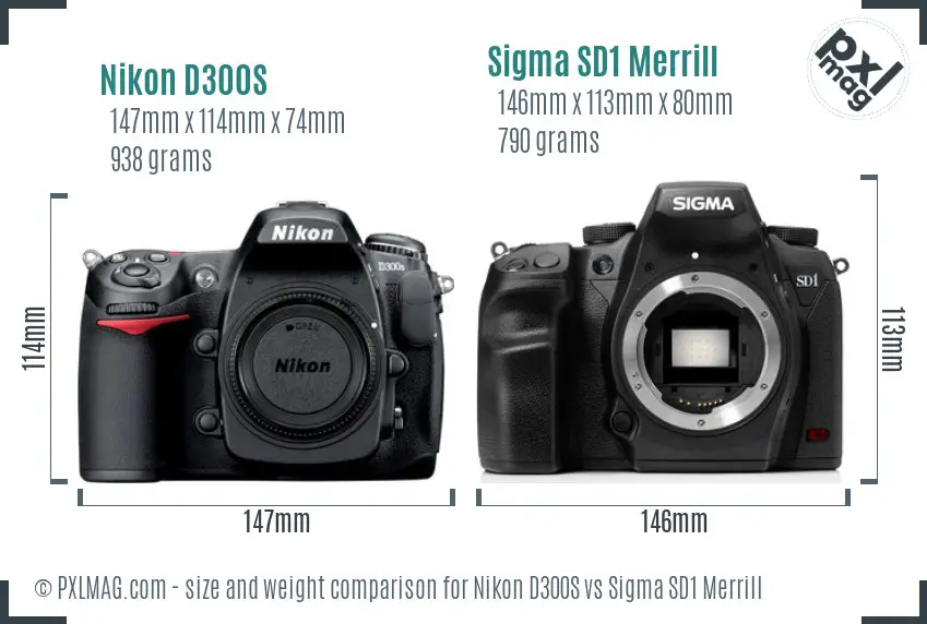 Nikon D300S vs Sigma SD1 Merrill size comparison