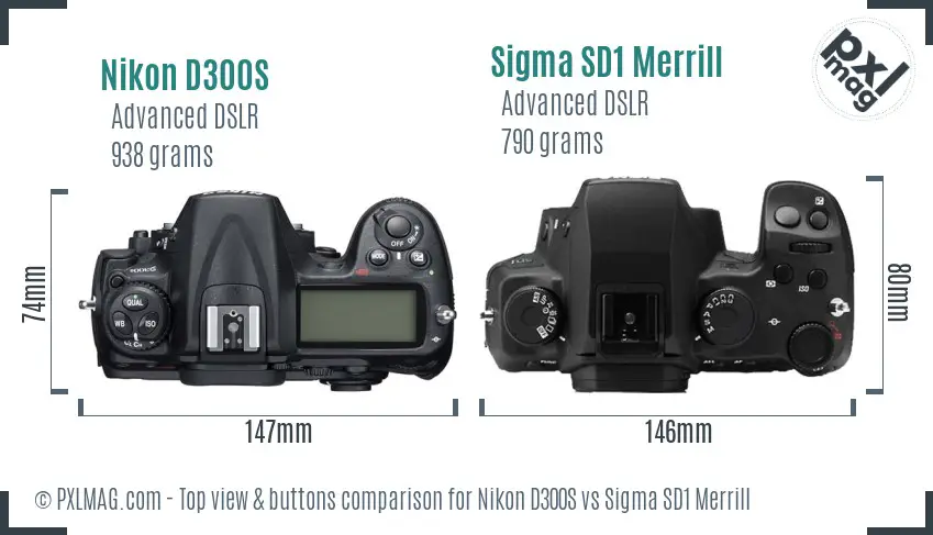 Nikon D300S vs Sigma SD1 Merrill top view buttons comparison